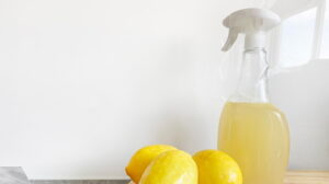 Napravite same sredstva za čišćenje