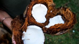 Šta sve možete sa kokosovim uljem