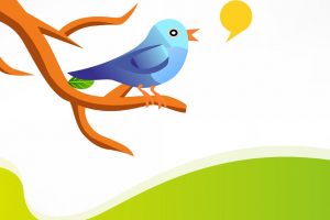 Twitter bonton