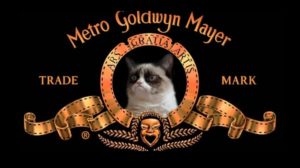 Kad bi internet režirao filmove