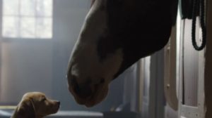 Najslađa Budweiser reklama