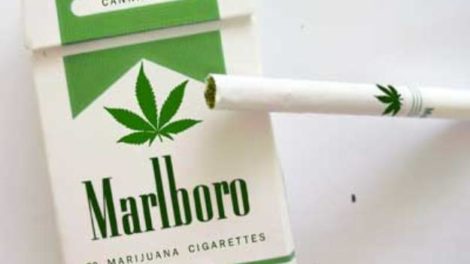 Prve cigarete sa marihuanom!