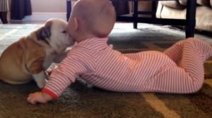 Neodoljivo: kučeća ljubav!