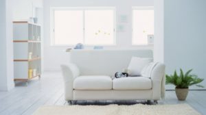 6 sobnih biljaka koje prečišćavaju vazduh