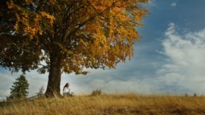 Sajt koji oslobađa od stresa i napetosti!