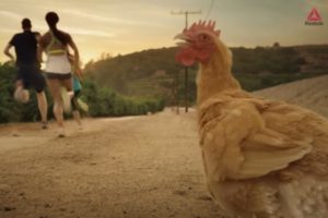 Reebok i kokoška u promociji fitnes filozofije