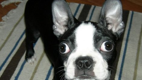 Ne verujte svemu što vidite! [VIDEO]