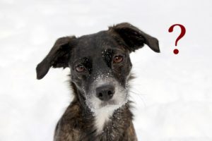 Evo zašto treba postavljati pitanja