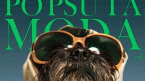 Visoka moda pomaže napuštenim psima!