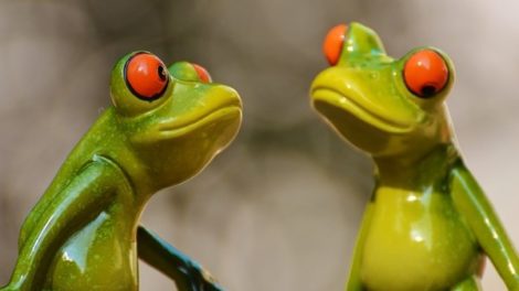 10 načina kako da mazneš ribu ako si švorc