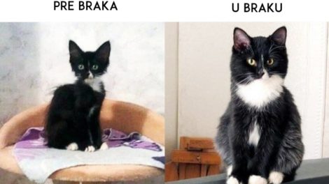 Kako brak menja život