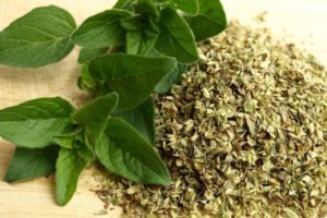 Origano – začin carskog ukusa ili zaštita od virusa?