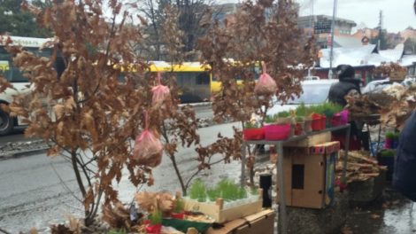 Ovako izgleda Badnji dan u Beogradu