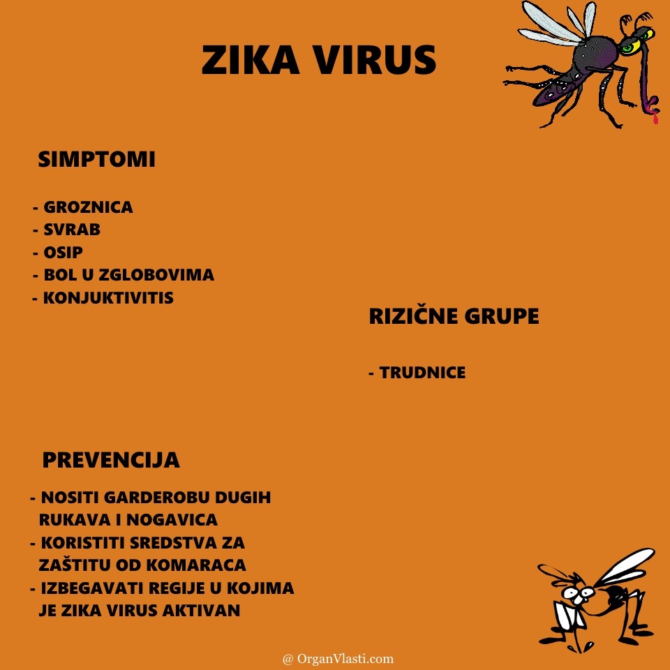 šta-je-zika-virus1