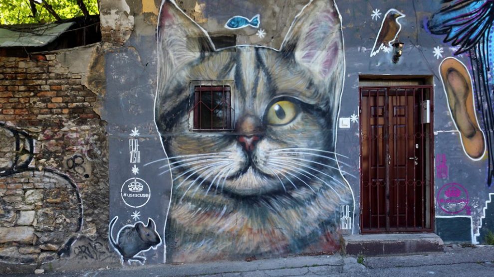Steet Art Belgrade – knjiga o beogradskim grafitima
