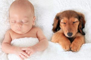 Deca i kućni ljubimci – ima li čega slađeg?