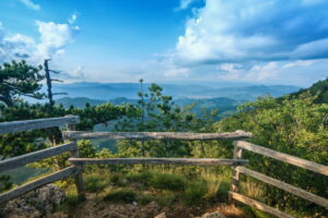 Šta obavezno posetiti ako odmor provodite na Tari ili Zlatiboru?